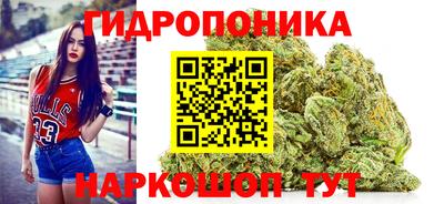 мет Дубна